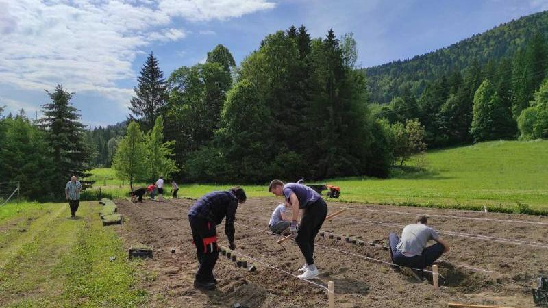 Sadnja majčine dušice u Centru za poljoprivredu i ruralni razvoj PGŽ-a u Staroj Sušici