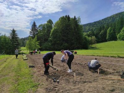 Sadnja majčine dušice u Centru za poljoprivredu i ruralni razvoj PGŽ-a u Staroj Sušici